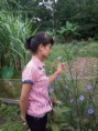 /album/th%c6%b0-vi%e1%bb%87n-%e1%ba%a3nh/a2013-08-25-14-31-11-jpg/